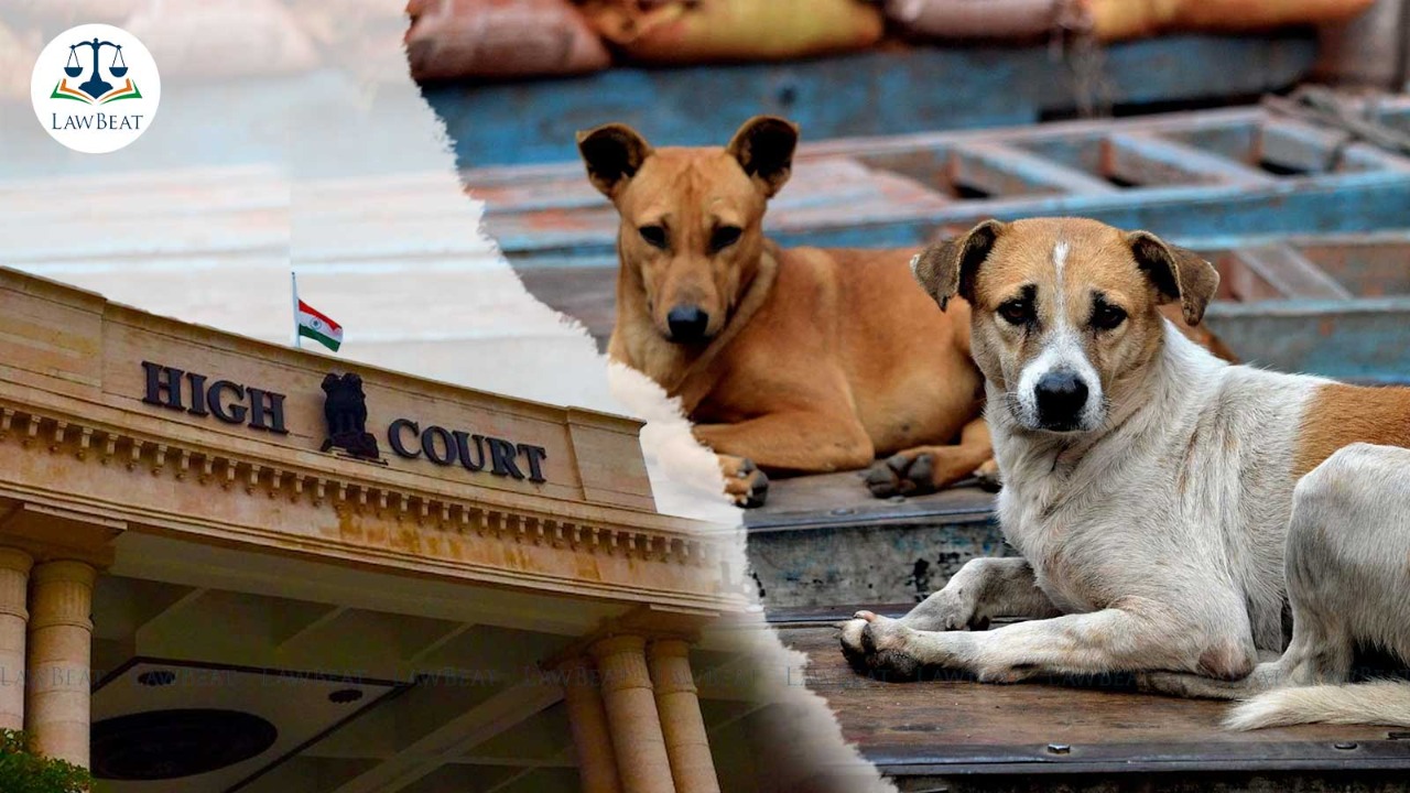 Allahabad High Court grants 10 days more time to Lucknow Nagar Nigam to file affidavit on compensation in dog attack case